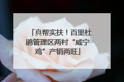 真帮实扶！百里杜鹃管理区两村“威宁鸡”产销两旺