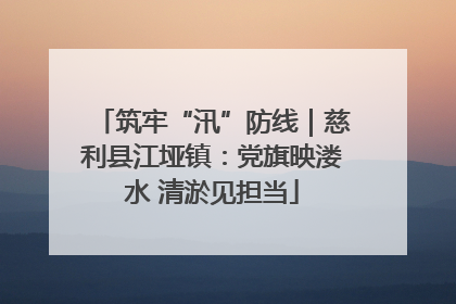 筑牢“汛”防线｜慈利县江垭镇：党旗映溇水 清淤见担当