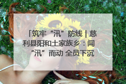 筑牢“汛”防线｜慈利县阳和土家族乡：闻“汛”而动 全员下沉筑牢防汛“安全堤”