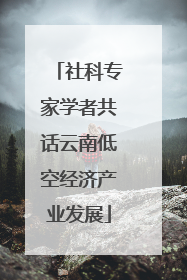 社科专家学者共话云南低空经济产业发展
