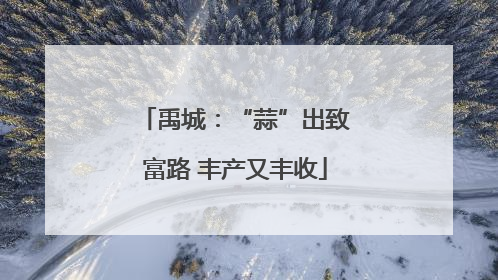 禹城：“蒜”出致富路 丰产又丰收