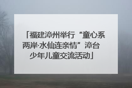 福建漳州举行“童心系两岸·水仙连亲情”漳台少年儿童交流活动