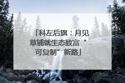 科左后旗：月见草铺就生态致富“可复制”新路