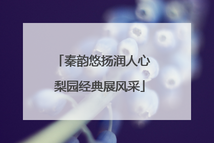 秦韵悠扬润人心 梨园经典展风采