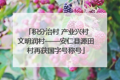 积分治村 产业兴村 文明润村——安仁县源田村再获国字号称号