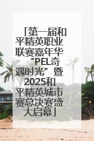 第一届和平精英职业联赛嘉年华“PEL奇遇时光”暨2025和平精英城市赛总决赛盛大启幕