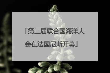 第三届联合国海洋大会在法国尼斯开幕