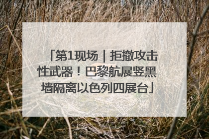 第1现场｜拒撤攻击性武器！巴黎航展竖黑墙隔离以色列四展台