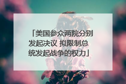 美国参众两院分别发起决议 拟限制总统发起战争的权力