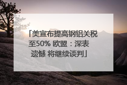 美宣布提高钢铝关税至50% 欧盟：深表遗憾 将继续谈判