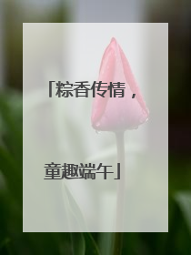 粽香传情，童趣端午