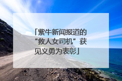紫牛新闻报道的“救人女司机”获见义勇为表彰