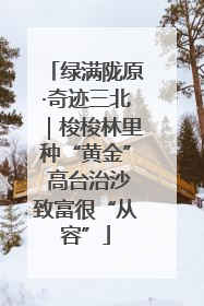 绿满陇原·奇迹三北｜梭梭林里种“黄金” 高台治沙致富很“从容”