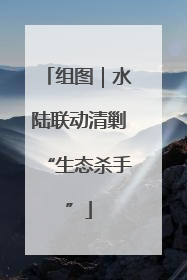 组图｜水陆联动清剿“生态杀手”