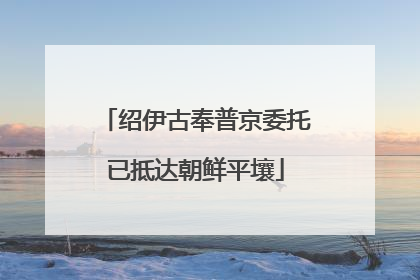 绍伊古奉普京委托已抵达朝鲜平壤