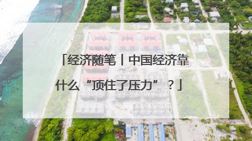 经济随笔丨中国经济靠什么“顶住了压力”？