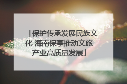 保护传承发展民族文化 海南保亭推动文旅产业高质量发展