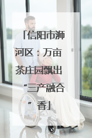 信阳市浉河区：万亩茶庄园飘出“三产融合”香