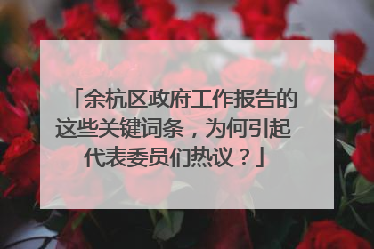 余杭区政府工作报告的这些关键词条，为何引起代表委员们热议？