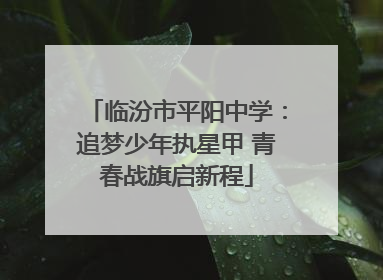 临汾市平阳中学：追梦少年执星甲 青春战旗启新程