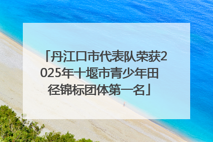 丹江口市代表队荣获2025年十堰市青少年田径锦标团体第一名