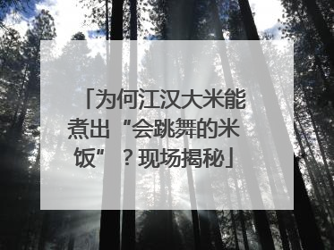 为何江汉大米能煮出“会跳舞的米饭”？现场揭秘