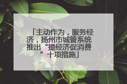 主动作为，服务经济，扬州市城管系统推出“提经济促消费”十项措施