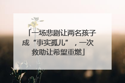 一场悲剧让两名孩子成“事实孤儿”，一次救助让希望重燃