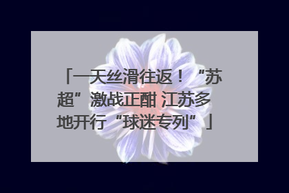 一天丝滑往返！“苏超”激战正酣 江苏多地开行“球迷专列”