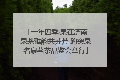 一年四季·泉在济南｜泉茶雅韵共芬芳 趵突泉名泉茗茶品鉴会举行