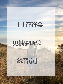 丁薛祥会见俄罗斯总统普京