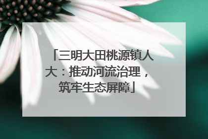 三明大田桃源镇人大：推动河流治理，筑牢生态屏障