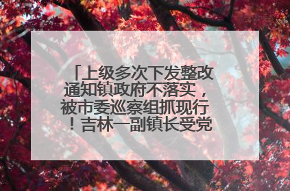 上级多次下发整改通知镇政府不落实，被市委巡察组抓现行！吉林一副镇长受党内警告处分