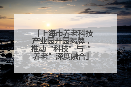 上海市养老科技产业园开园揭牌，推动“科技”与“养老”深度融合