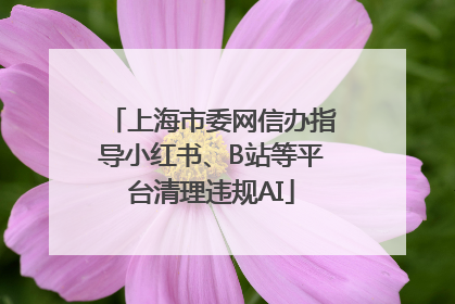 上海市委网信办指导小红书、B站等平台清理违规AI