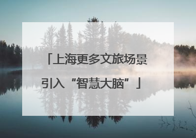 上海更多文旅场景引入“智慧大脑”
