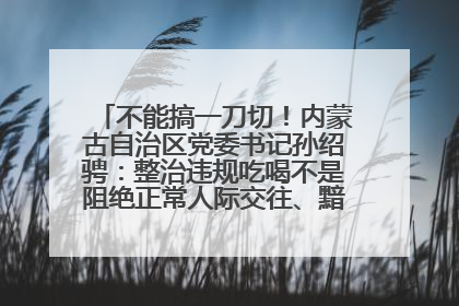 不能搞一刀切！内蒙古自治区党委书记孙绍骋：整治违规吃喝不是阻绝正常人际交往、黯淡人间烟火