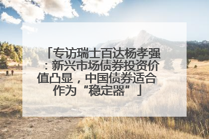 专访瑞士百达杨孝强：新兴市场债券投资价值凸显，中国债券适合作为“稳定器”