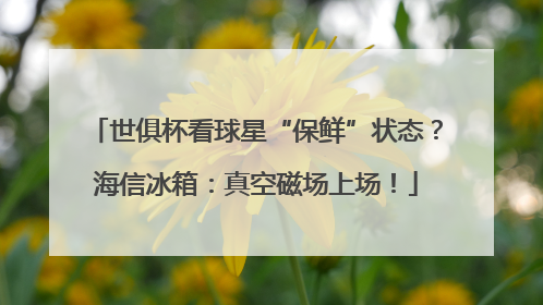 世俱杯看球星“保鲜”状态？海信冰箱：真空磁场上场！