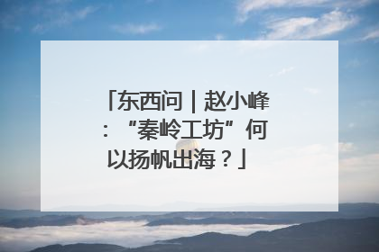 东西问｜赵小峰：“秦岭工坊”何以扬帆出海？