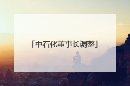 中石化董事长调整