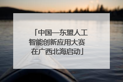 中国—东盟人工智能创新应用大赛在广西北海启动