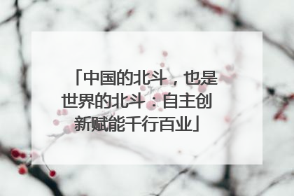 中国的北斗，也是世界的北斗：自主创新赋能千行百业