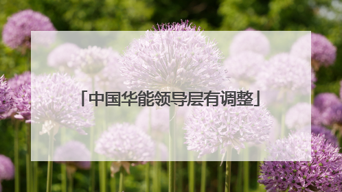 中国华能领导层有调整