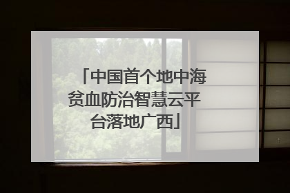 中国首个地中海贫血防治智慧云平台落地广西