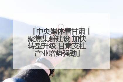 中央媒体看甘肃丨聚焦集群建设 加快转型升级 甘肃支柱产业增势强劲