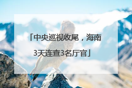 中央巡视收尾，海南3天连查3名厅官
