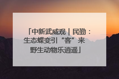 中新武威观｜民勤：生态蝶变引“客”来 野生动物乐逍遥