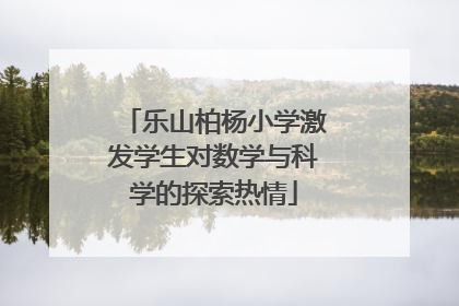 乐山柏杨小学激发学生对数学与科学的探索热情
