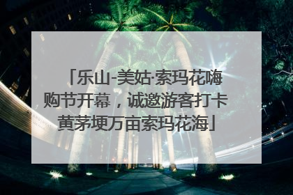 乐山-美姑·索玛花嗨购节开幕，诚邀游客打卡黄茅埂万亩索玛花海